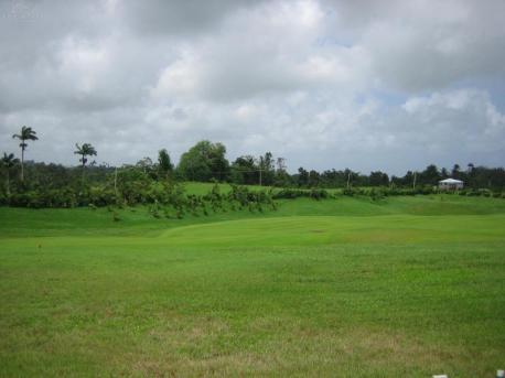 Holders Meadow H31  - Barbados
