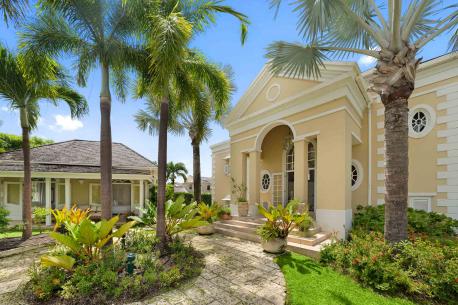 Bananaquit - Exterior