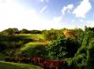 Royal Westmoreland - Jasmine Ridge and Heights {RM} - Barbados