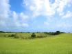 Apes Hill, Moonshine Ridge Land, St. James - Barbados