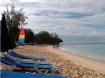 Tropical Escape Hotel & Blue Monkey Bar - Barbados