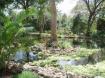 Bellevue Plantation, Waterford, St. Michael - Barbados