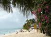 Ajoupa Villas No.12 - under offer - Barbados