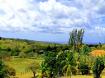 Lands of Westmoreland  - Barbados
