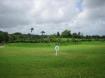 Holders Meadow H31  - Barbados