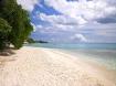 Bon Adventure - Beachfront Property on Barbados' West Coast - Barbados