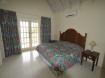 Oleander Beach Apartments  - Barbados