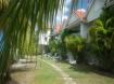 Oleander Beach Apartments  - Barbados