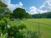 Sandy Lane Estate - No 35  - Barbados