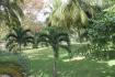 Mullins - Wales End House  - Barbados