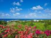 Coral Cliff House, Maynards, St. Peter  - Barbados