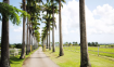 Lion Castle Estate, St. Thomas, Barbados - Barbados