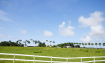 Lion Castle Estate, St. Thomas, Barbados - Barbados