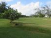 Rockley Resort, Pleasant Hall 415