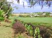 Royal Westmoreland - Palm Grove 8  - Barbados