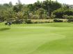 Royal Westmoreland - Palm Grove 8  - Barbados