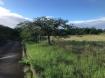 Heron Mill Lot 5 & 6