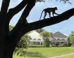 Royal Westmoreland - Cassia Heights 8, St. James, Barbados