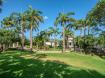 Waterfalls - Tropical Gardens