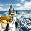 Big Game Fishing