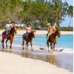 Horseback Riding