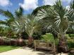 Royal Westmoreland - Idyll Moments  - Barbados