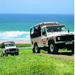 Island Safari