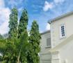 Royal Westmoreland - Mahogany Drive 7 - Barbados